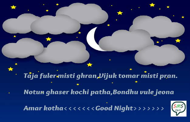 bangla good night sms - SMSing - Collection of SMS, Shayari, Quotes, Poem  and Story in Hindi