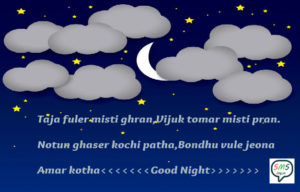 bangla good night sms